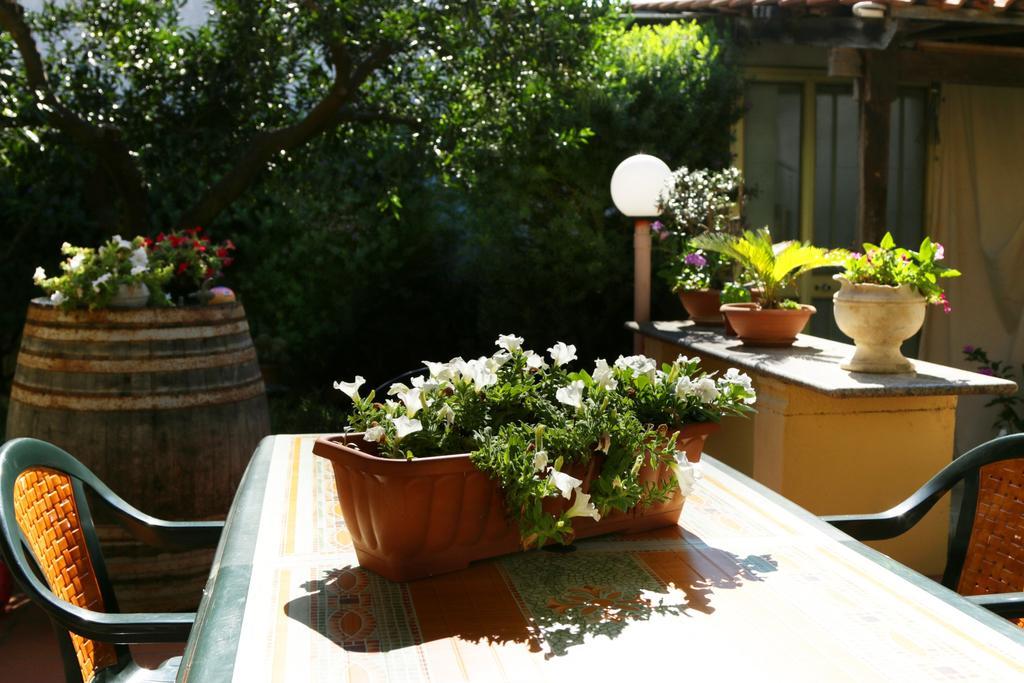 B&B La Villa Presicce Ngoại thất bức ảnh